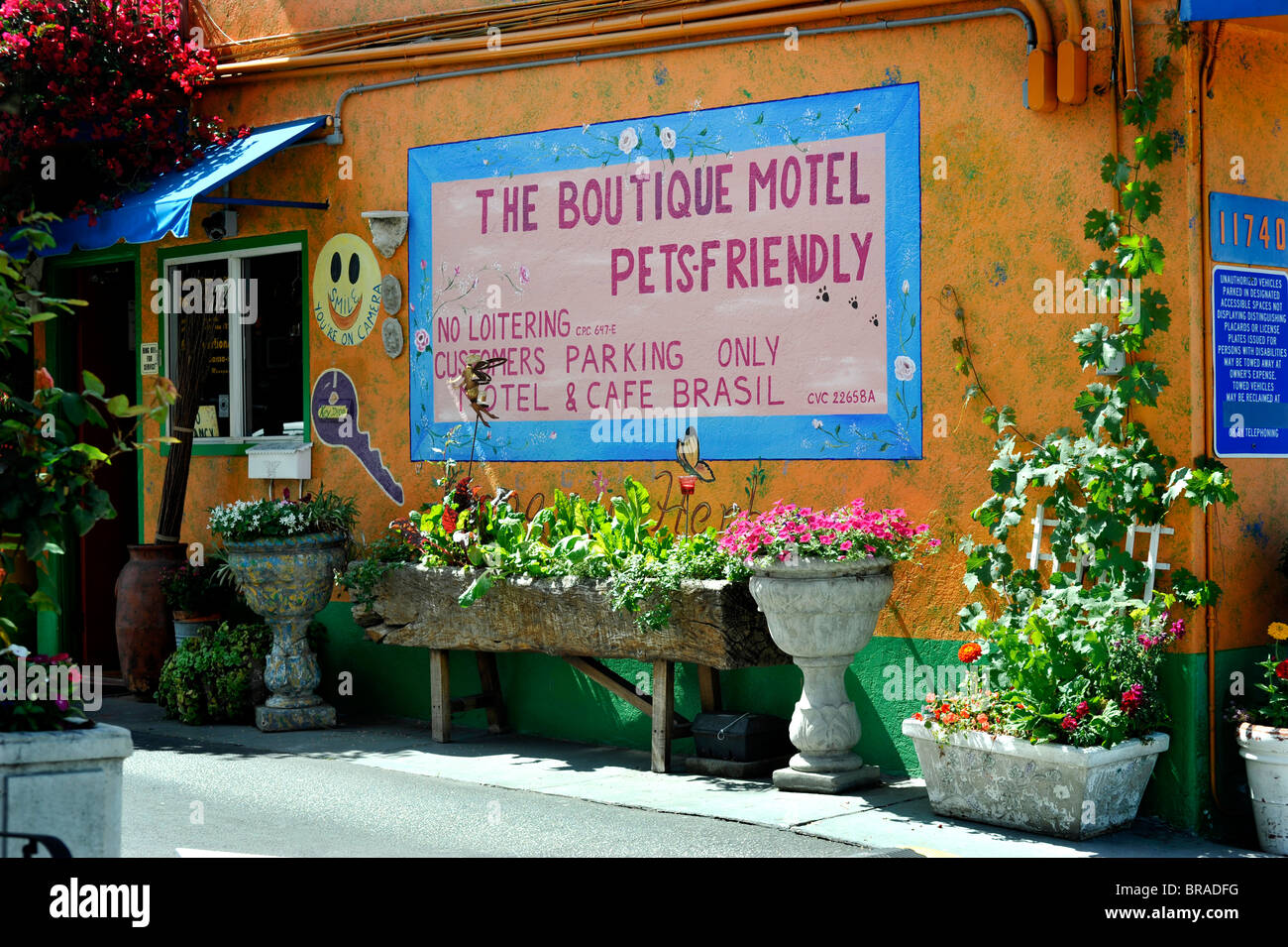Cafe Brasil di Culver City Los Angeles è un elegante pet friendly motel-cafe. Foto Stock