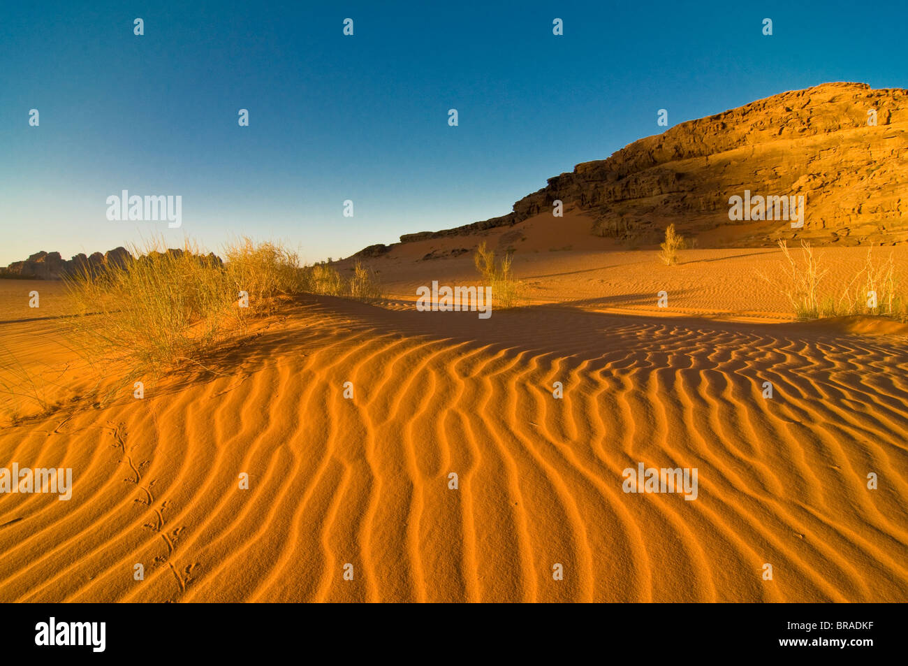 L'incantevole paesaggio offerto dal deserto di Wadi Rum, Giordania, Medio Oriente Foto Stock