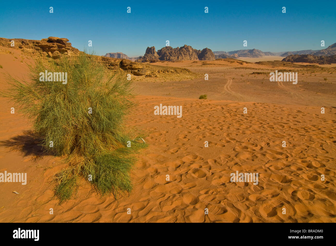 L'incantevole paesaggio offerto dal deserto di Wadi Rum, Giordania, Medio Oriente Foto Stock