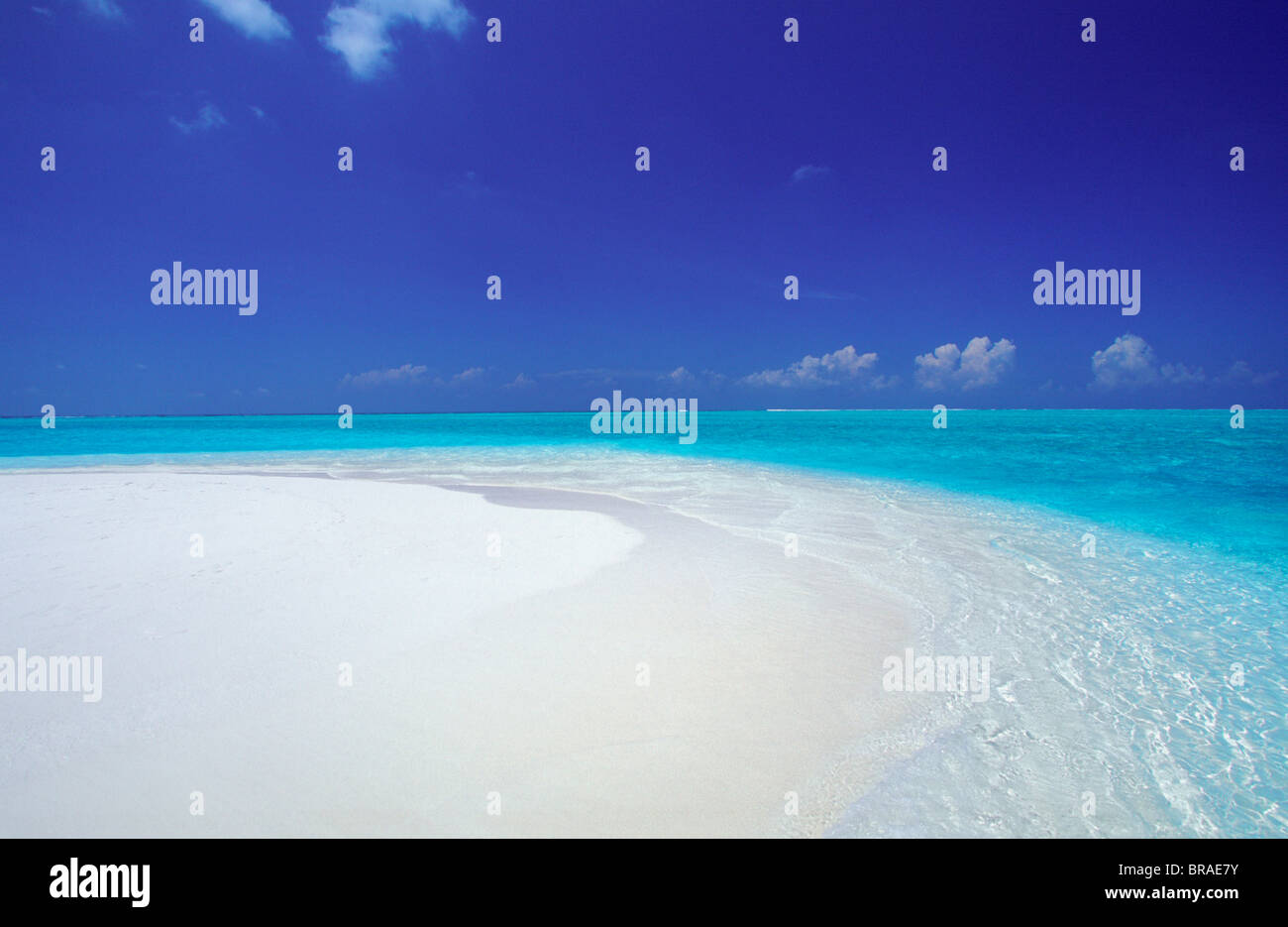 Maldive, Oceano Indiano, Asia Foto Stock