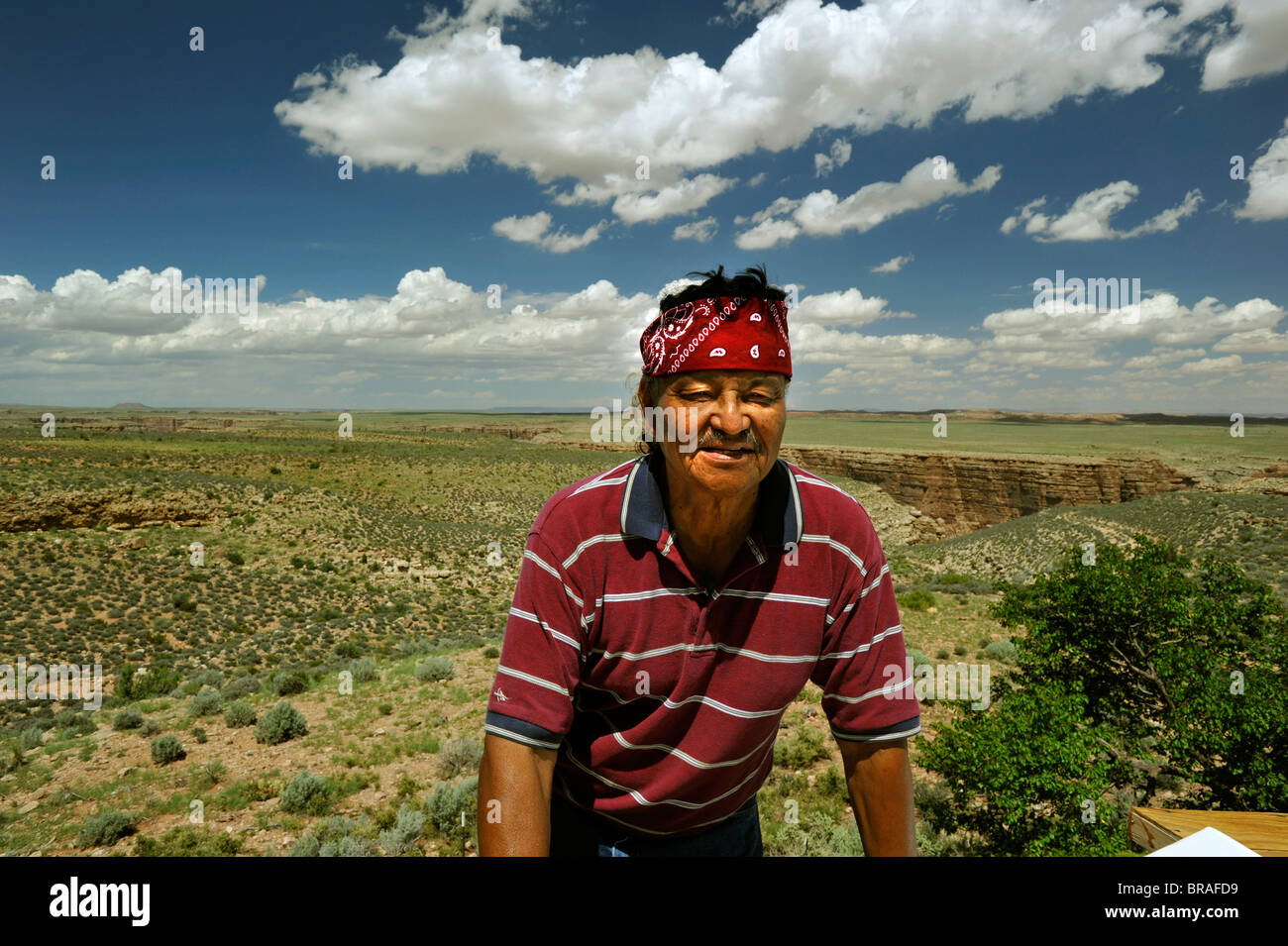 Indiano Navajo argentiere e pioggia-maker Al Johnson sulle sue terre vicino a Cameron in Arizona USA Foto Stock