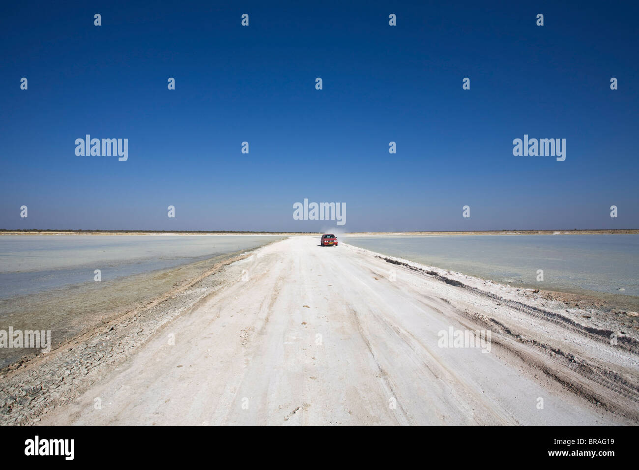 Veicolo sulla via in Etosha Pan, il Parco Nazionale di Etosha, Namibia, Africa Foto Stock