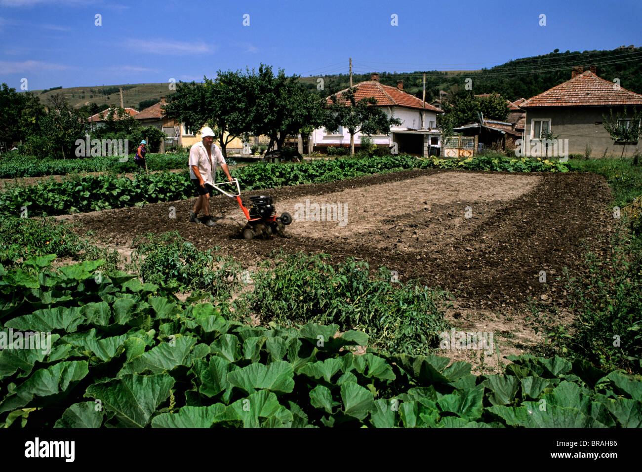 Famiglia giardinaggio in cantiere vicino Sofia Bulgaria Foto Stock