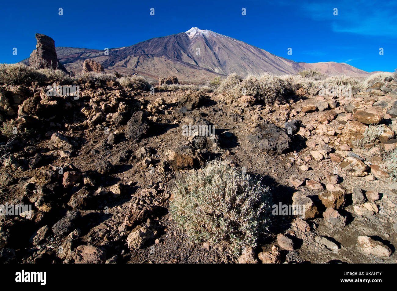 El vulcano Teide, Parco Nazionale di Teide Sito Patrimonio Mondiale dell'UNESCO, Tenerife, Isole Canarie, Spagna, Europa Foto Stock
