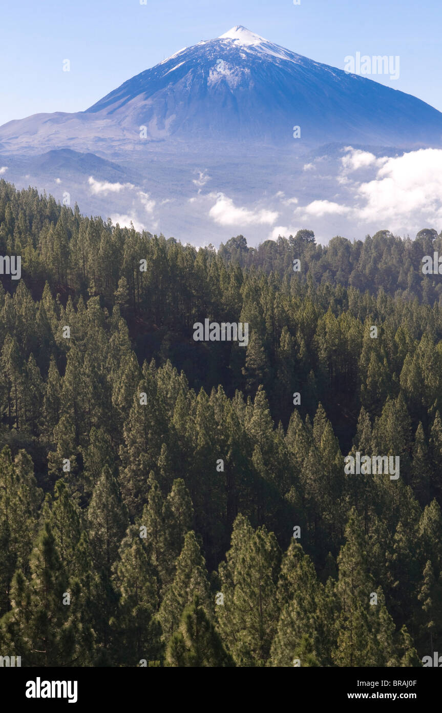 El vulcano Teide, Parco Nazionale di Teide Sito Patrimonio Mondiale dell'UNESCO, Tenerife, Isole Canarie, Spagna, Europa Foto Stock