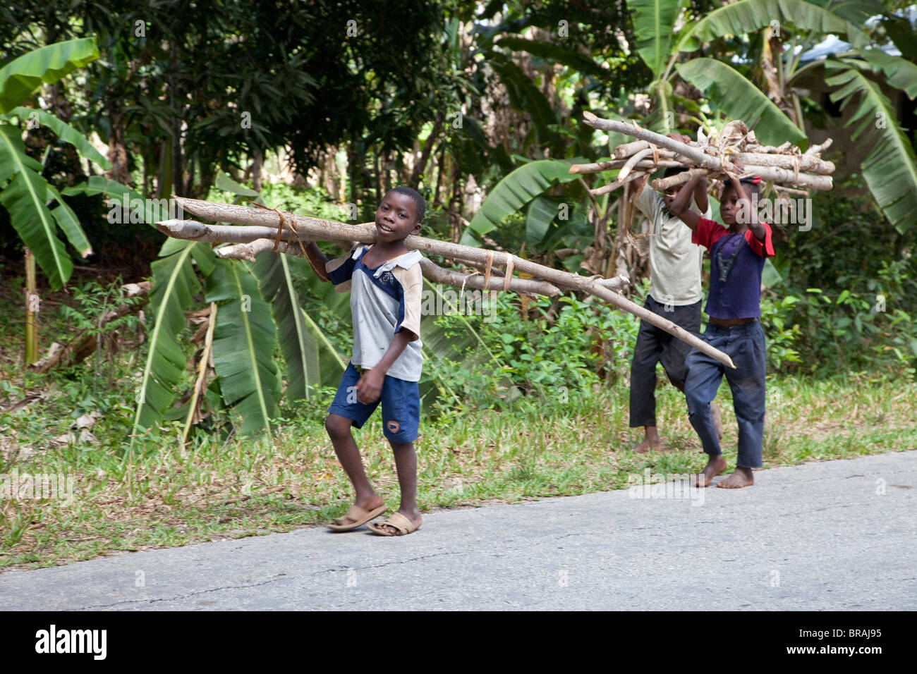 Zanzibar, Tanzania. Ragazzi che trasportano legna da ardere lungo una strada di campagna. Foto Stock