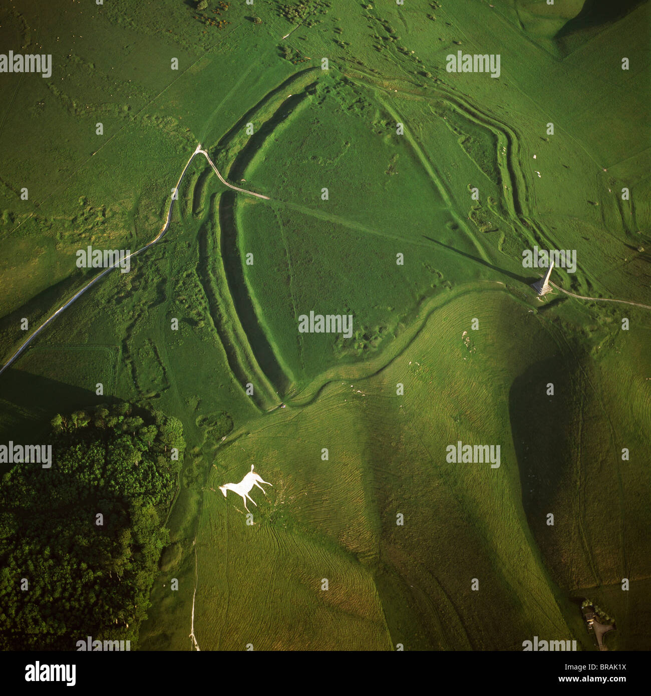 Immagine aerea di Oldbury Camp Hill Fort con Cherhill White Horse, Cherhill giù, Calne, Wiltshire, Inghilterra, Regno Unito Foto Stock