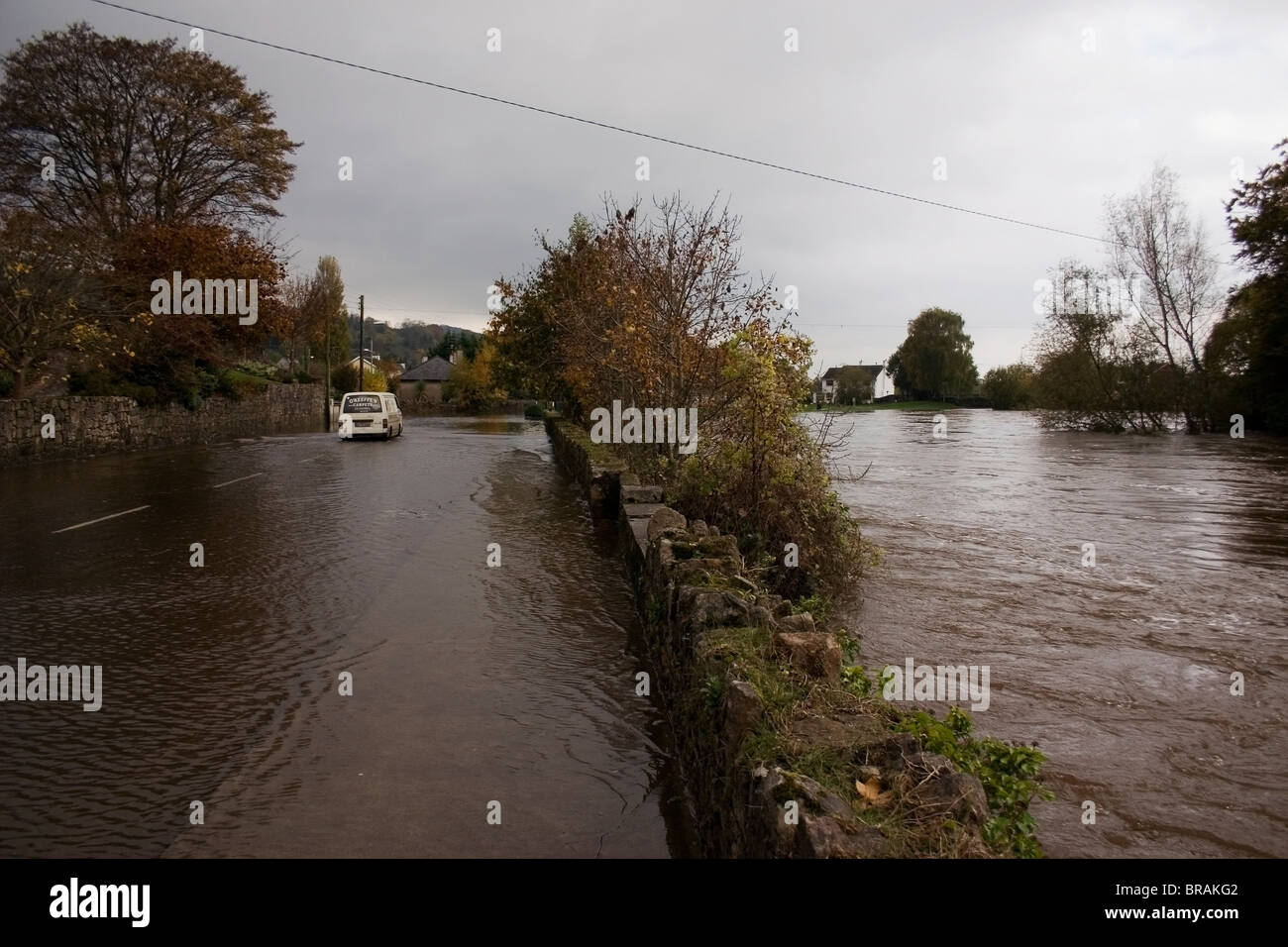 Fiume Suir, Clonmel, Co Tipperary, Irlanda; allagata comune Foto Stock