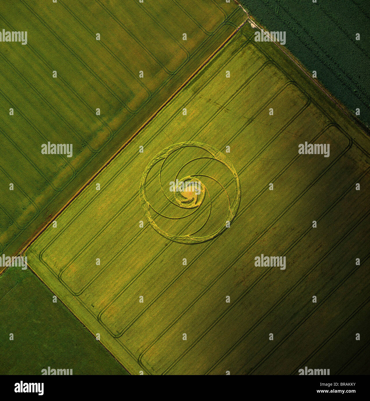 Immagine aerea di crop circle, Wiltshire, Inghilterra, Regno Unito, Europa Foto Stock