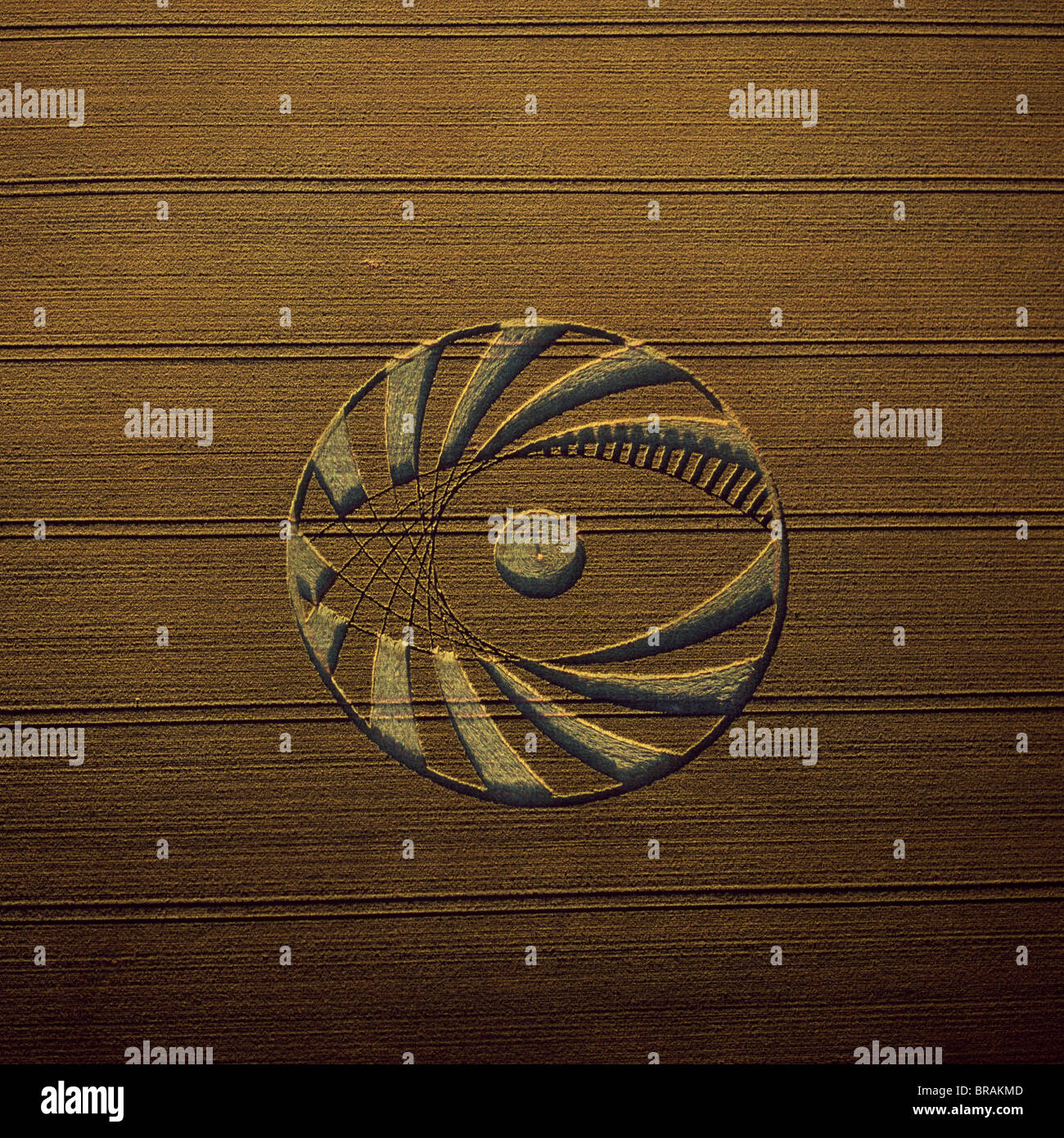 Immagine aerea di crop circle, Wiltshire, Inghilterra, Regno Unito, Europa Foto Stock