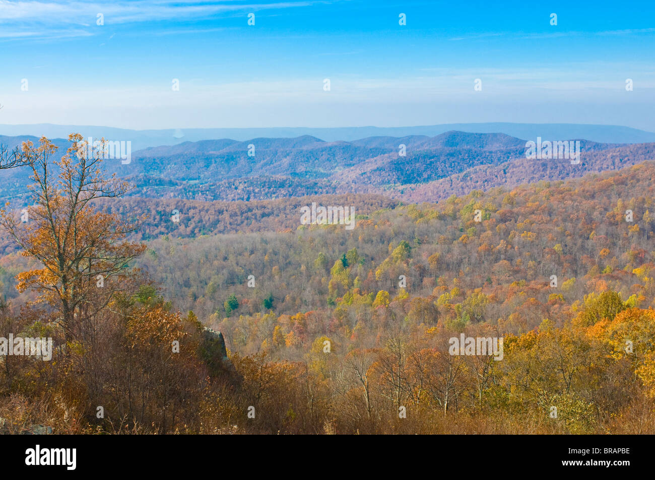 Vista sul parco nazionale di Shenandoah con bellissimo fogliame in estate indiana, Virginia, Stati Uniti d'America Foto Stock
