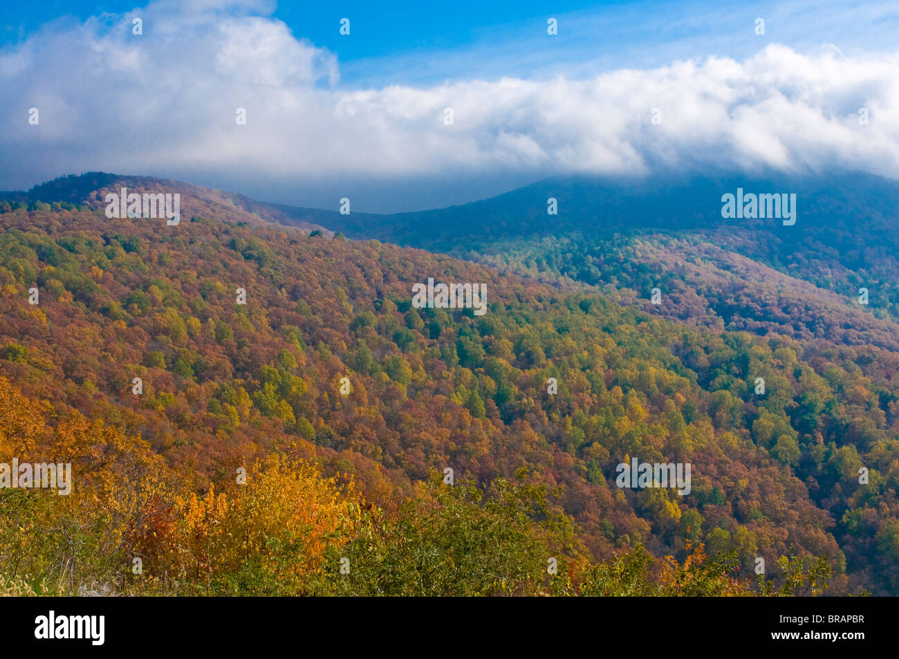 Vista sul parco nazionale di Shenandoah con bellissimo fogliame in estate indiana, Virginia, Stati Uniti d'America Foto Stock