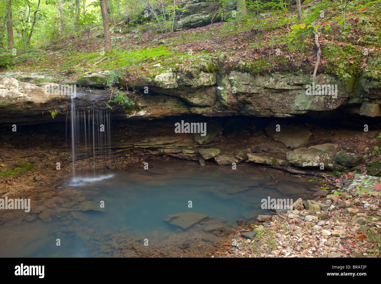 Creek lungo Big Piney Trail, Paddy Creek Wilderness, Mark Twain National Forest, Missouri Foto Stock