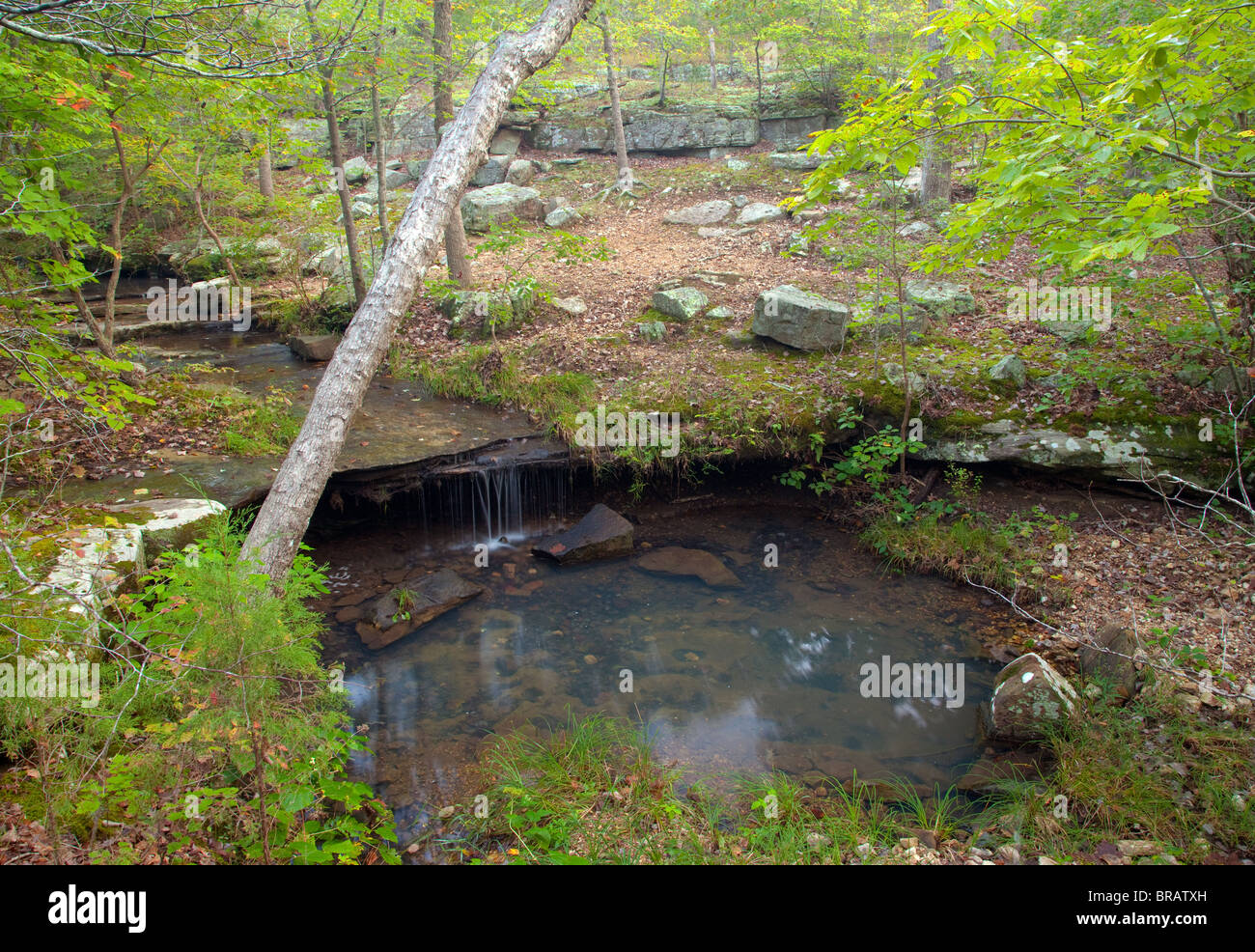 Creek lungo Big Piney Trail, Paddy Creek Wilderness, Mark Twain National Forest, Missouri Foto Stock