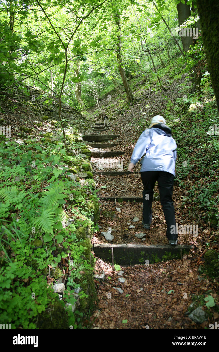 Una donna salire a piedi a passi di Chee Dale Derbyshire, Parco Nazionale di Peak District, England, Regno Unito Foto Stock