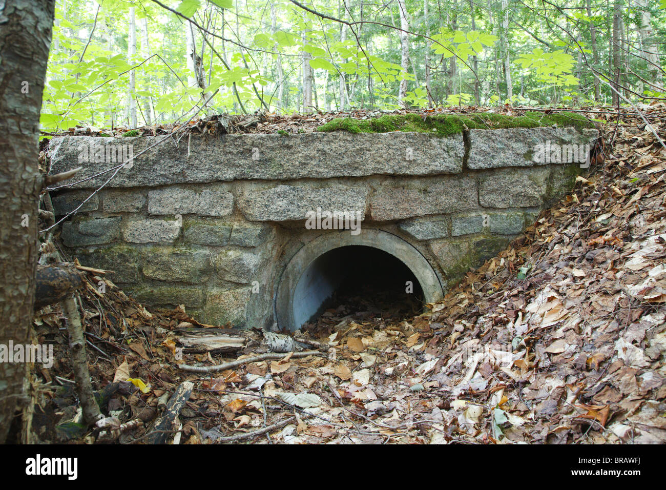 Abbandonato il tubo drenante vicino a portare la tacca strada in Bartlett, New Hampshire USA. Foto Stock