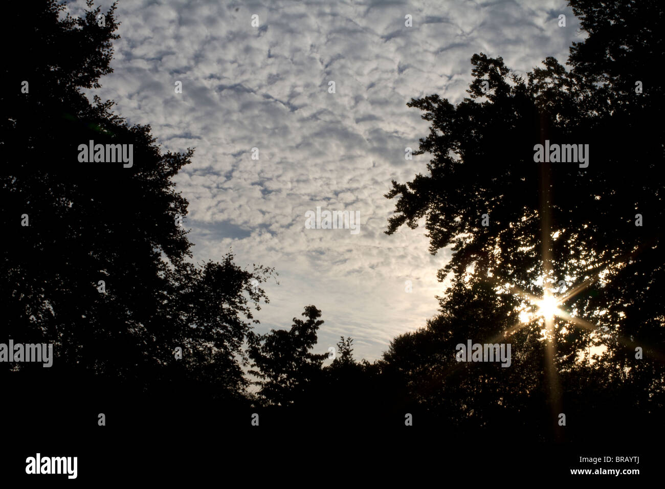 Nuvole nel cielo, tramonto Foto Stock