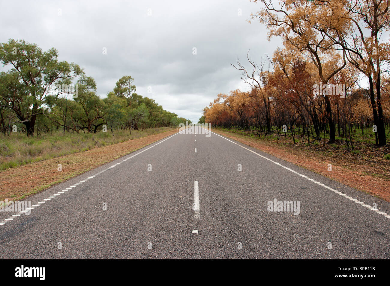 Strada vuota nell'Outback australiano Foto Stock