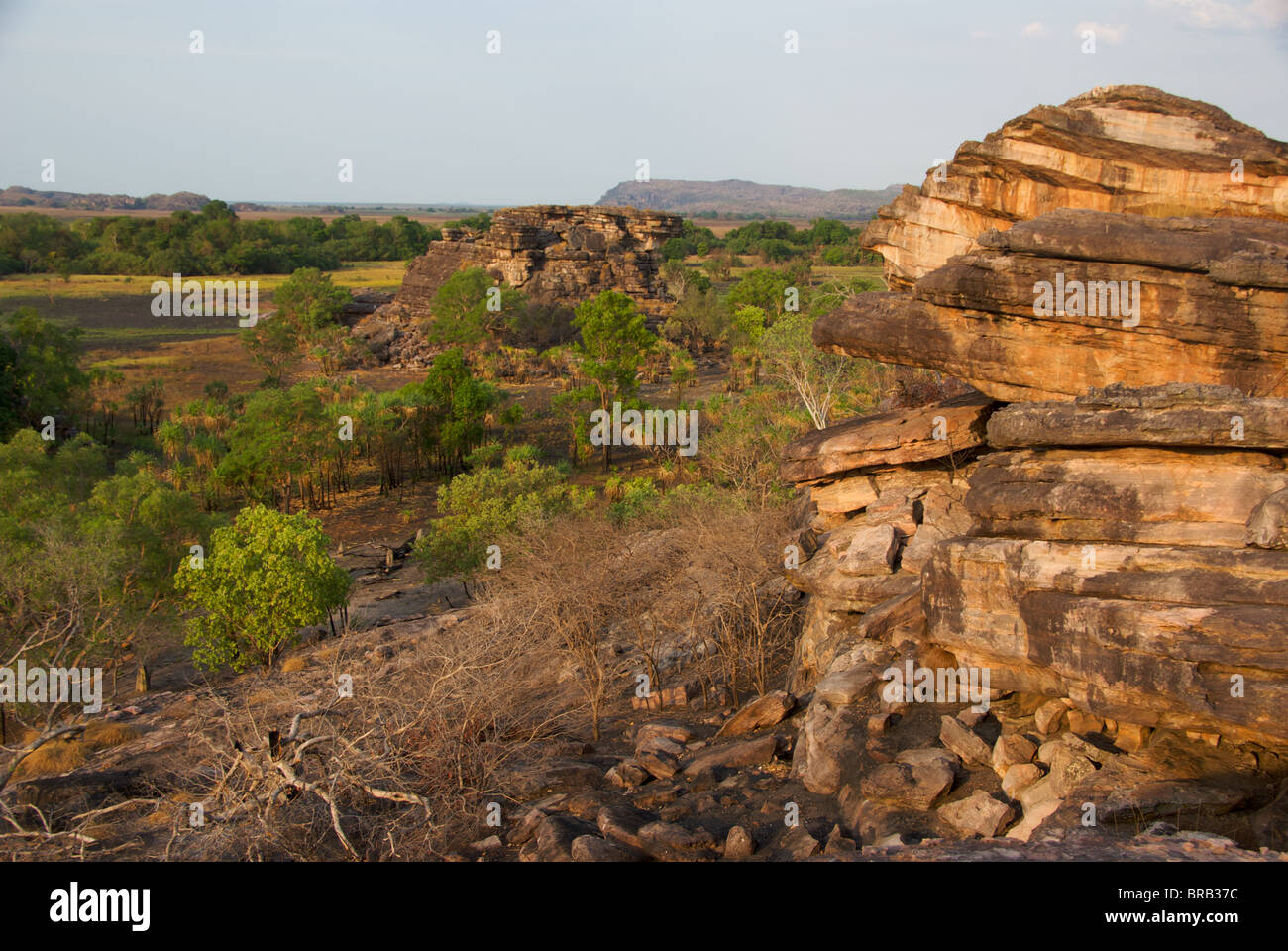 Vista dalla cima delle formazioni rocciose di Ubirr, casa di antiche gallerie di arte rupestre nel Parco Nazionale Kakadu, Australia. Foto Stock