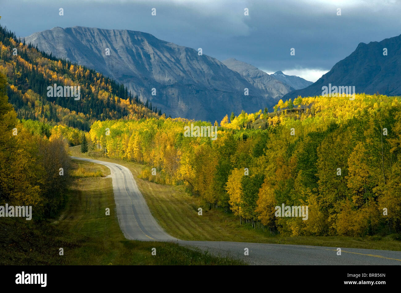 Muskwa kechika Northern Rockies deserto di raggiungere più settentrionale delle montagne rocciose-BC-CANADA-caduta-2008 Foto Stock
