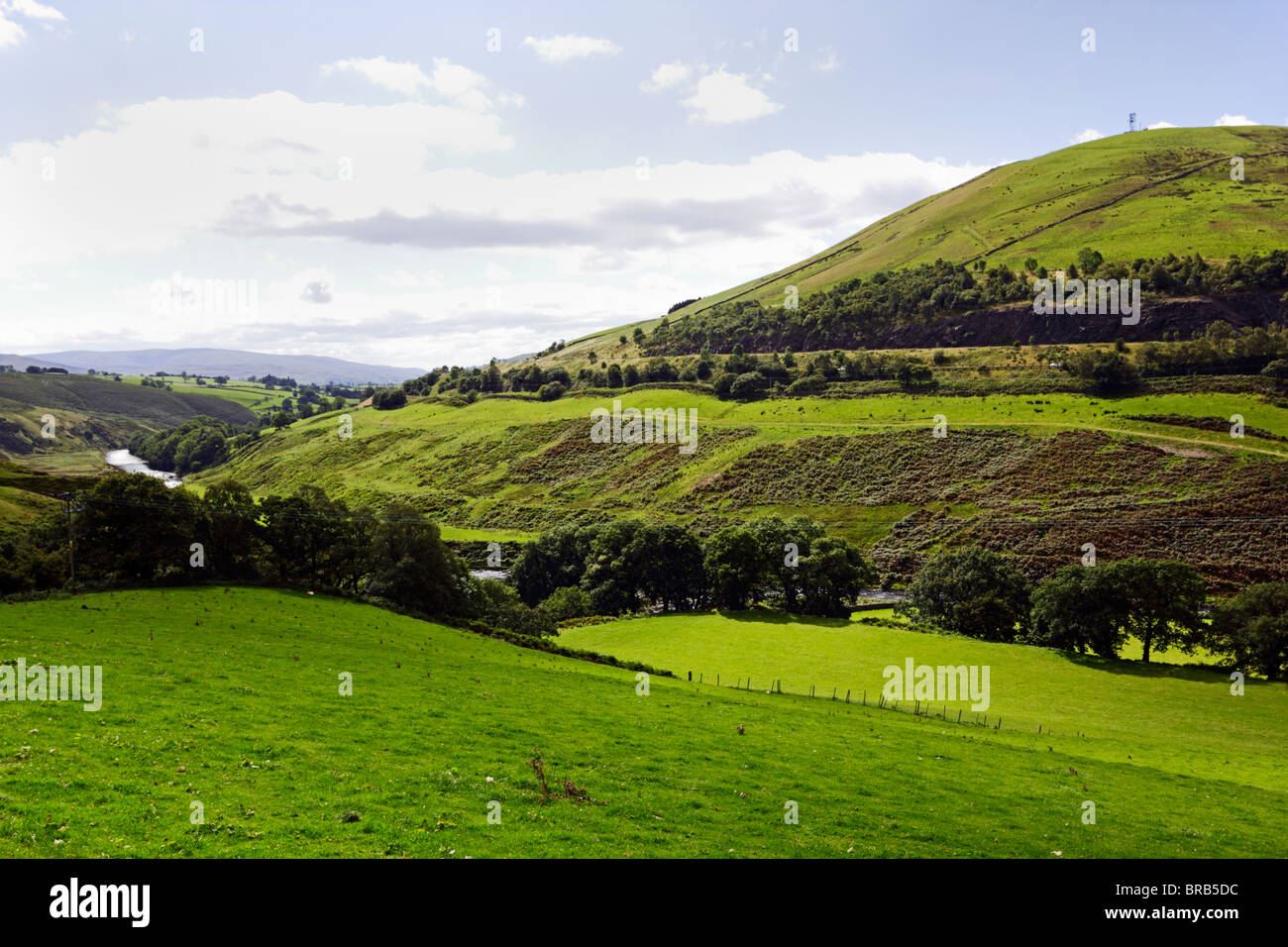 Dillicar Knott e Dillicar comune tra Shap e Kendal Cumbria, Inghilterra, Regno Unito. Foto Stock