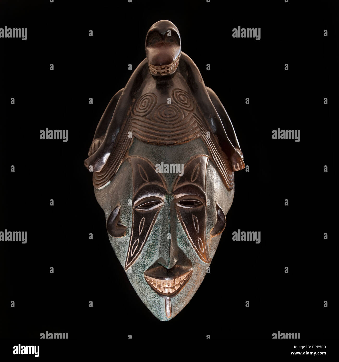 Legno scolpito tribale africana maschera, sparare dalla parte anteriore, legno scuro con faccia dipinta, animale sulla testa che mostra i denti. Africa, Foto Stock