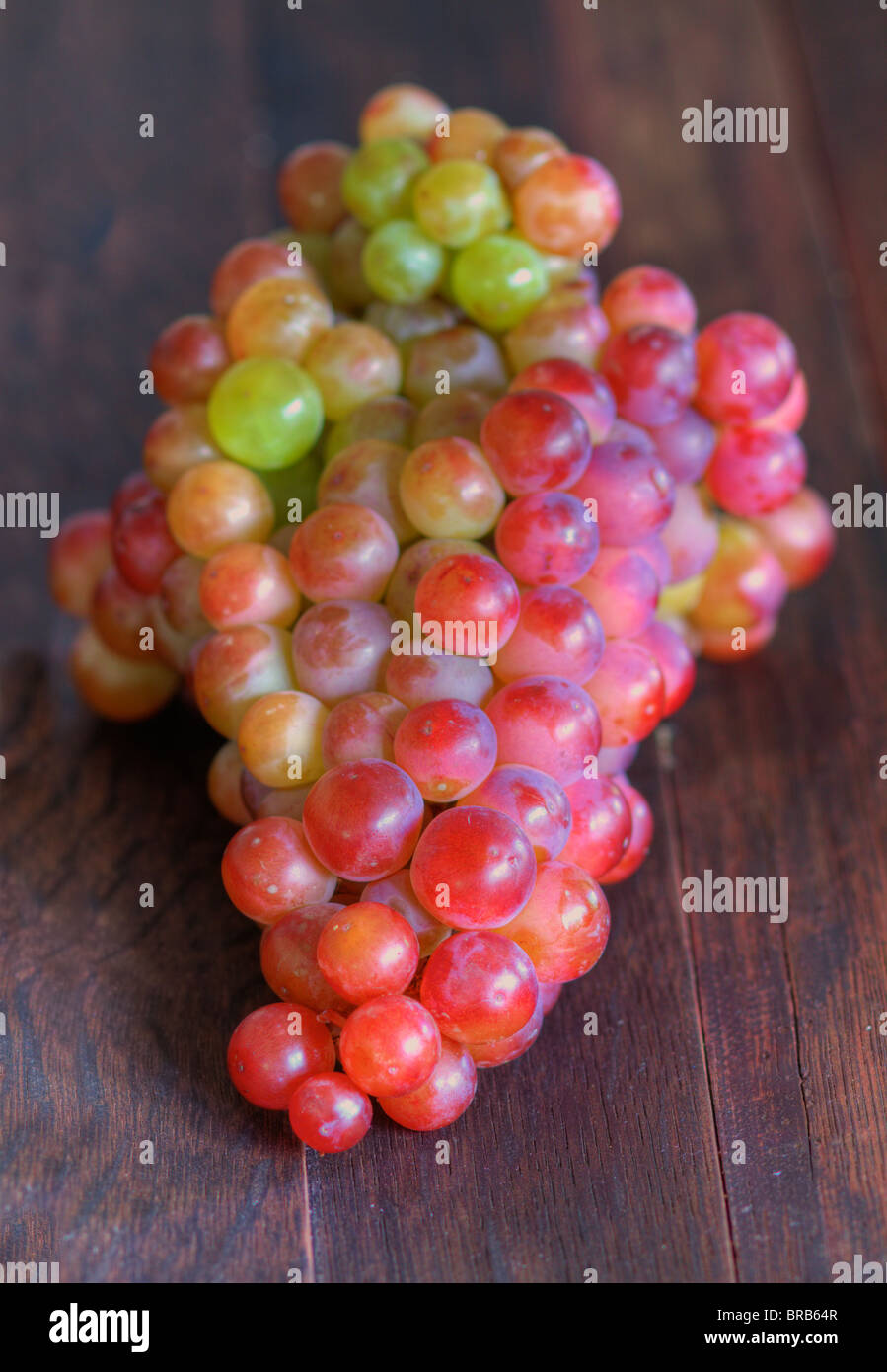 Un grappolo di uva su una botte di legno in progressione a soft focus presi in alta gamma dinamica Foto Stock