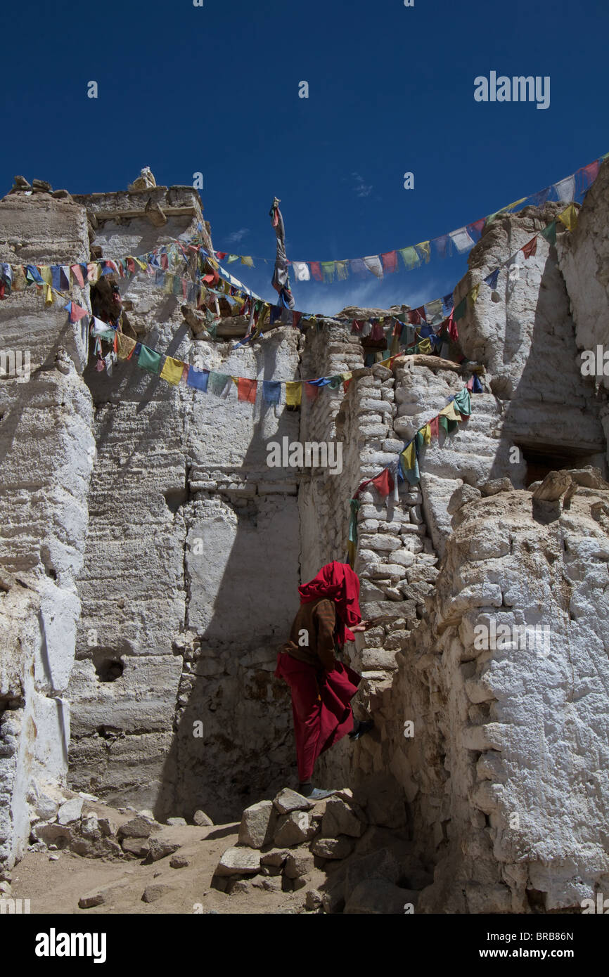 Monaco presso il Namgyal Tsemo Gompa Foto Stock