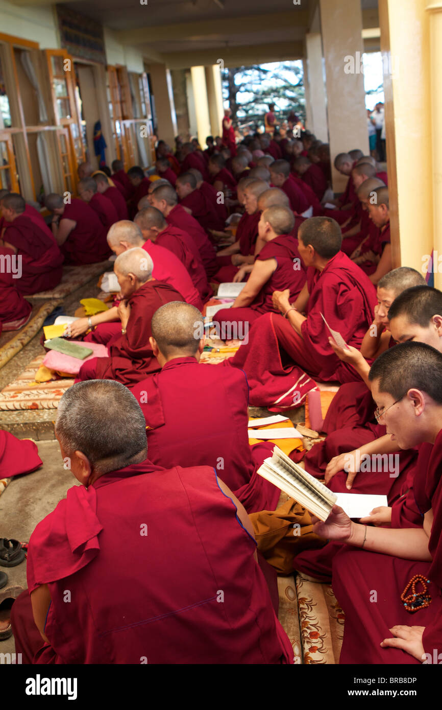 Seduto monaci del complesso tsuglagkhang Foto Stock