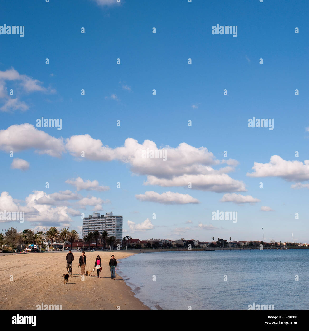 La gente camminare i loro cani, St Kilda Beach, Melbourne, Victoria, Australia Foto Stock