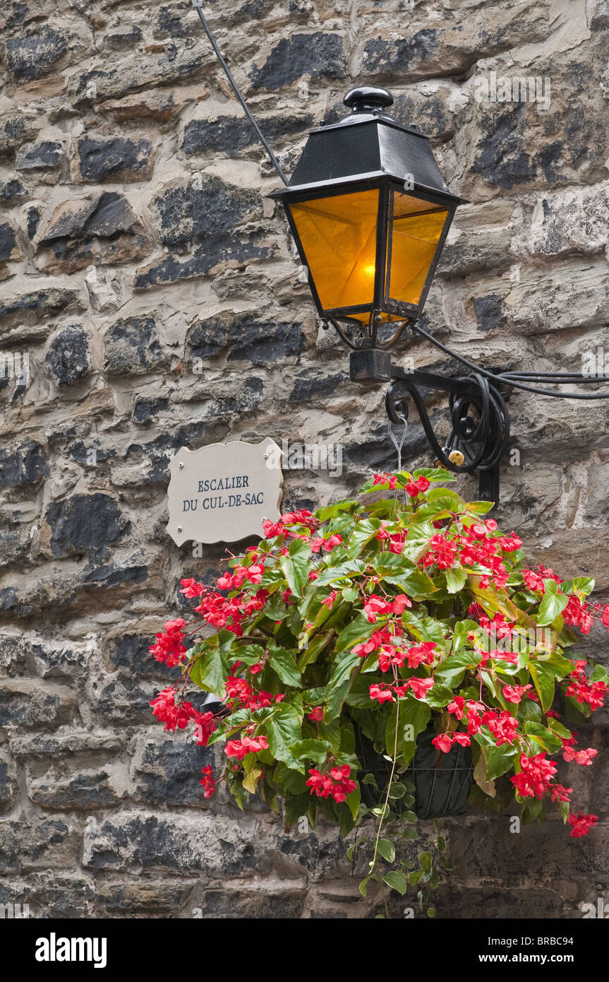 Decorazioni floreali in città vecchia. Quebec City, Quebec, Canada Foto Stock