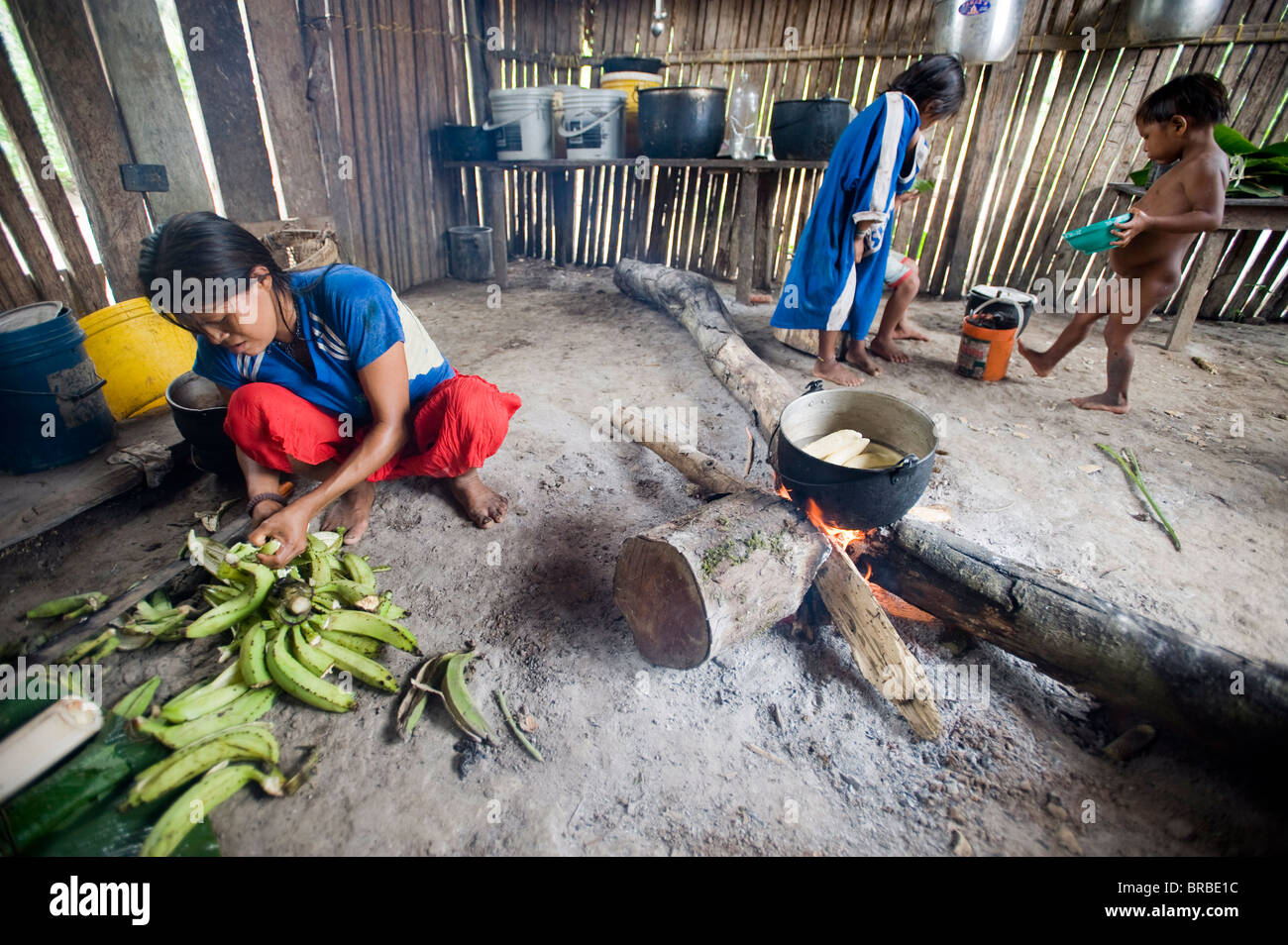 La cottura di piantaggine, Amazon, Ecuador Foto Stock