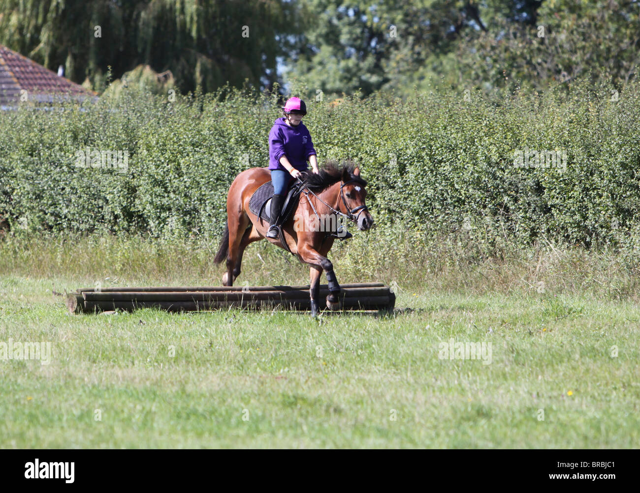 Una ragazza teeage in sella a una bella baia Welsh Cob Foto Stock