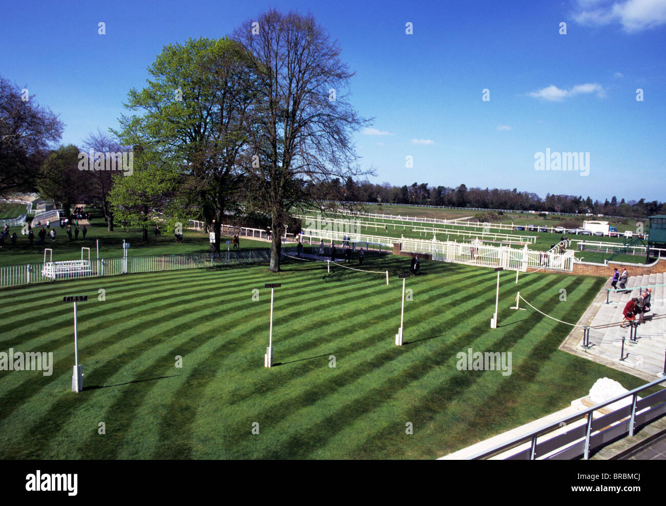 Ringhiere intorno parade ring a un cavallo di razza in corso Foto Stock