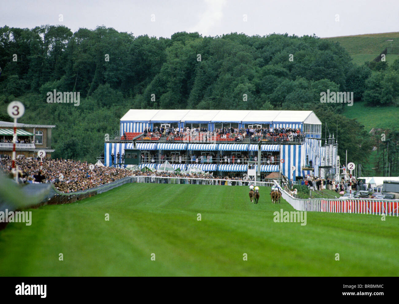 Visualizza in basso a Horse Racing via con la tribuna alla fine Foto Stock