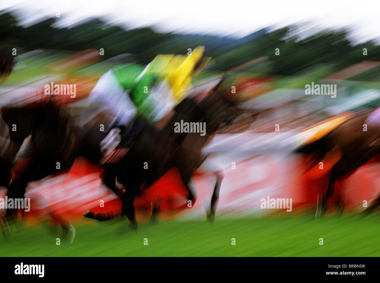 Effetto di sfocatura come jockey aziona il suo cavallo verso la linea di finitura Foto Stock