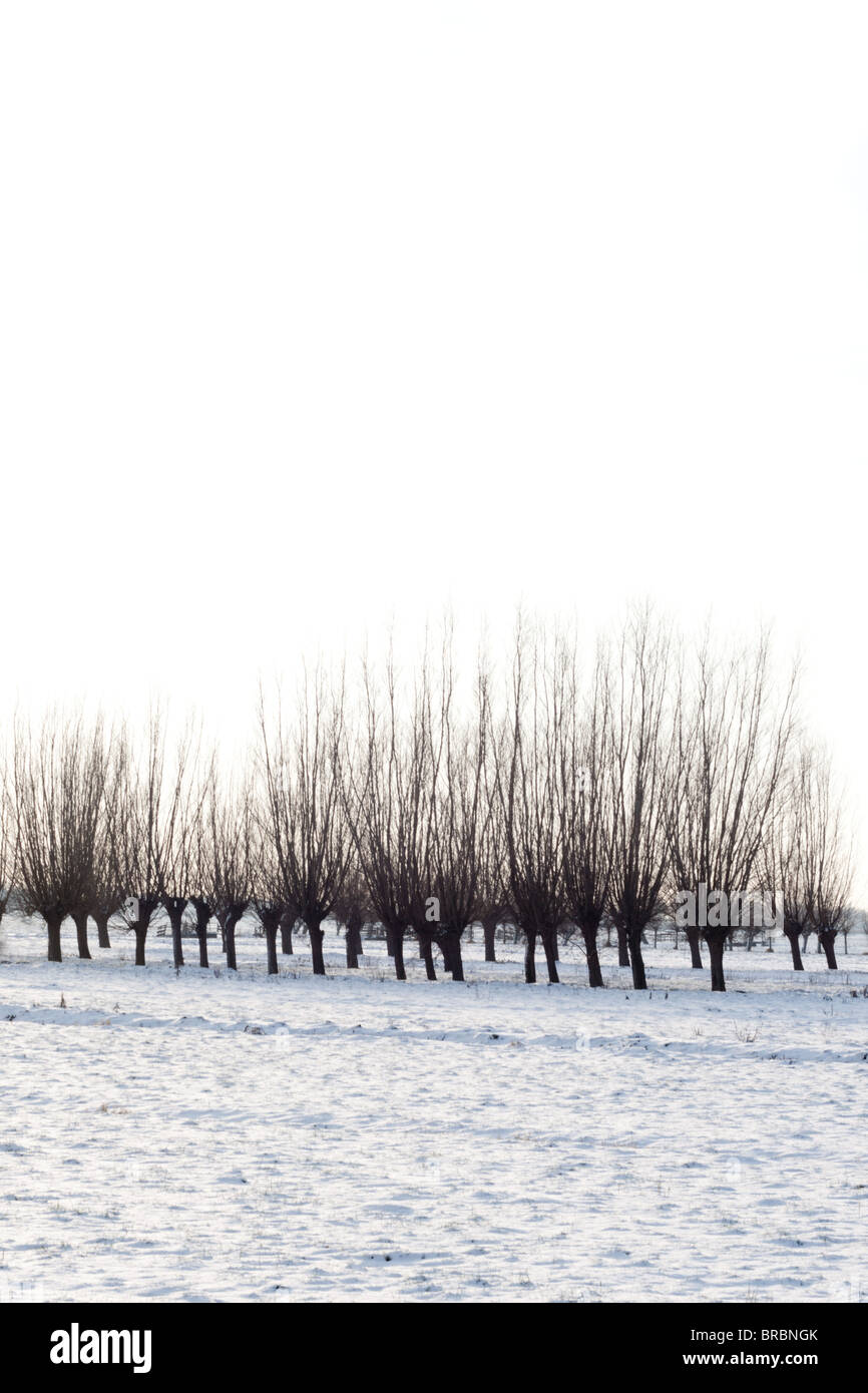 Scena invernale in Olanda Foto Stock