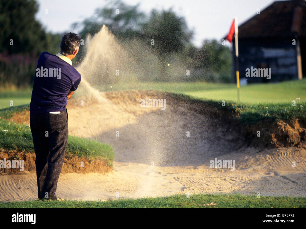 Il Golfer di blasti la sua palla fuori del bunker sul verde Foto Stock