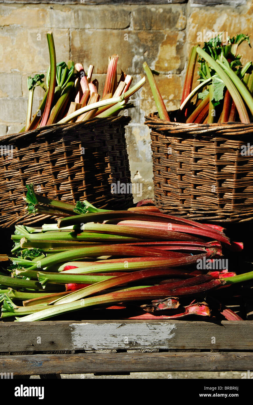 Cestini di appena raccolto il rabarbaro in vendita in un mercato vecchio carrello. Wiltshire REGNO UNITO Foto Stock