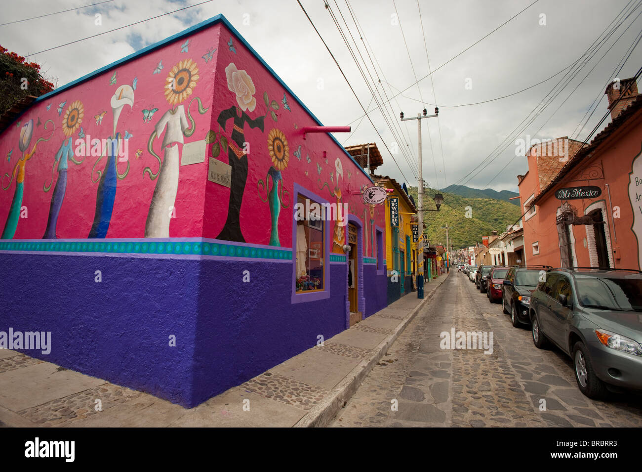 Ajijic, lago Chapala, Jalisco, Messico Foto Stock