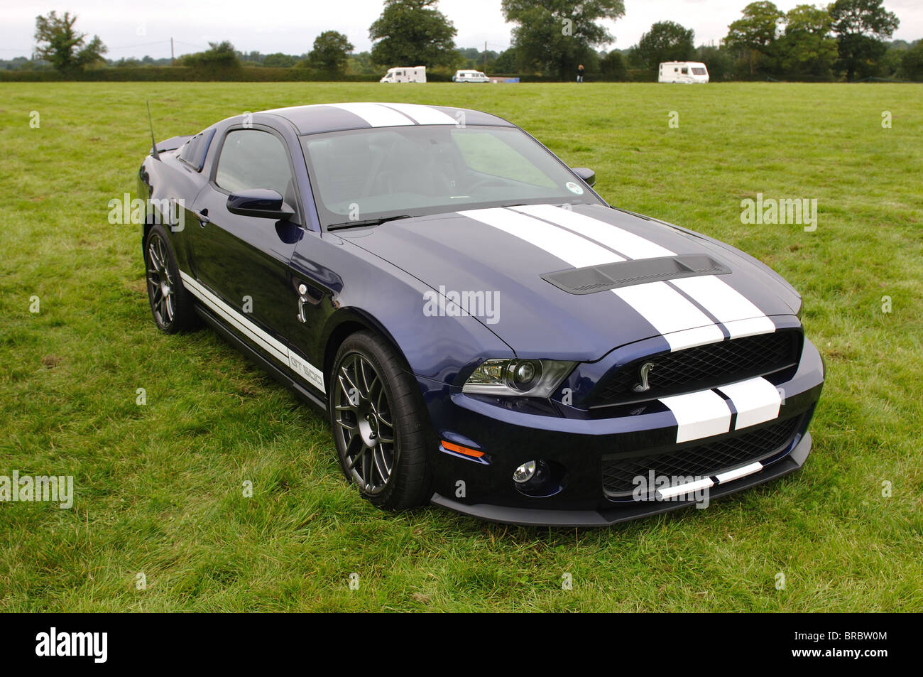 Ford Shelby GT500 Cobra Foto Stock