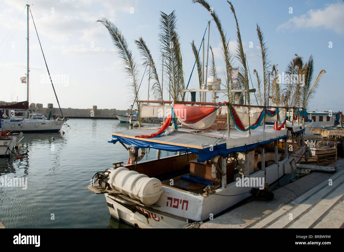 Barca pontato in Palm tree rami per festeggiare Succot, Vecchia Jaffa Porto, Tel Aviv , Israele Foto Stock