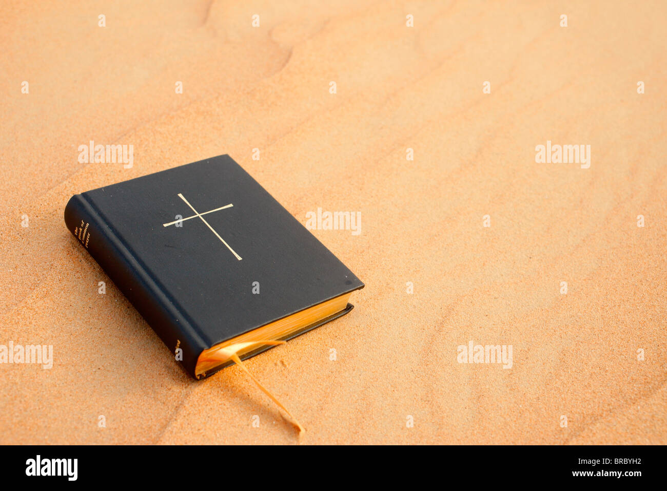 La Bibbia sulla sabbia, Dubai, UAE Foto Stock