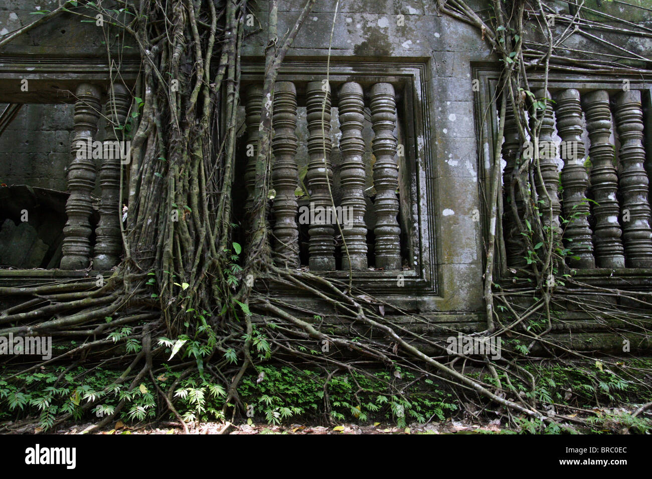 Incolto le rovine di un tempio nei pressi di Angkor Wat. Cambogia Foto Stock