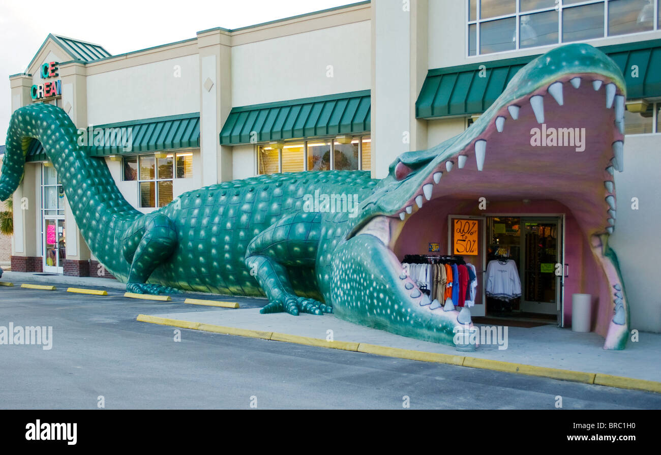 Ingresso di alligatore presso un negozio di articoli da regalo nella città di Surf, Carolina del Nord Foto Stock