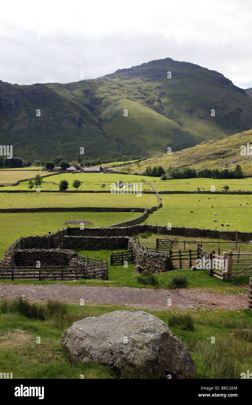 Il LANGDALES Lake District CUMBRIA Lake District Cumbria Inghilterra Lake District CUMBRIA 23 Luglio 2010 Foto Stock