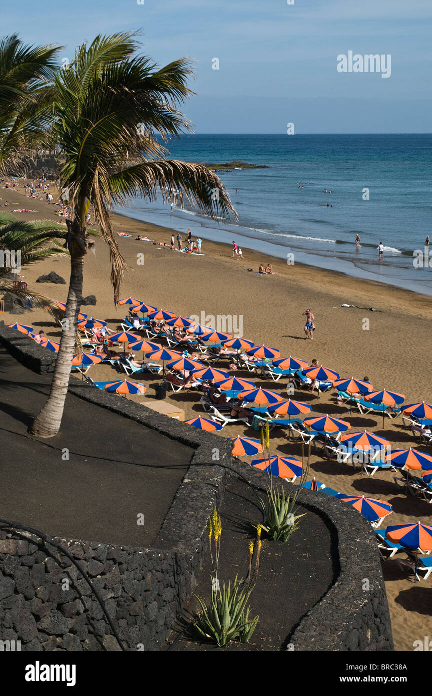 Dh Spiaggia Puerto del Carmen LANZAROTE palme colorato ombrelloni sulla spiaggia di Puerto del Carmen Foto Stock