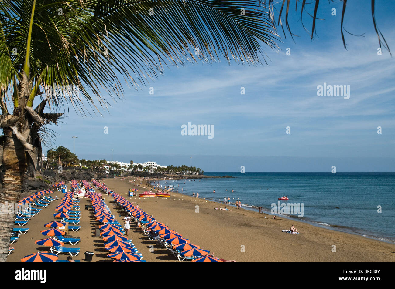 Dh Spiaggia Puerto del Carmen LANZAROTE palme colorato ombrelloni sulla spiaggia di Puerto del Carmen Foto Stock