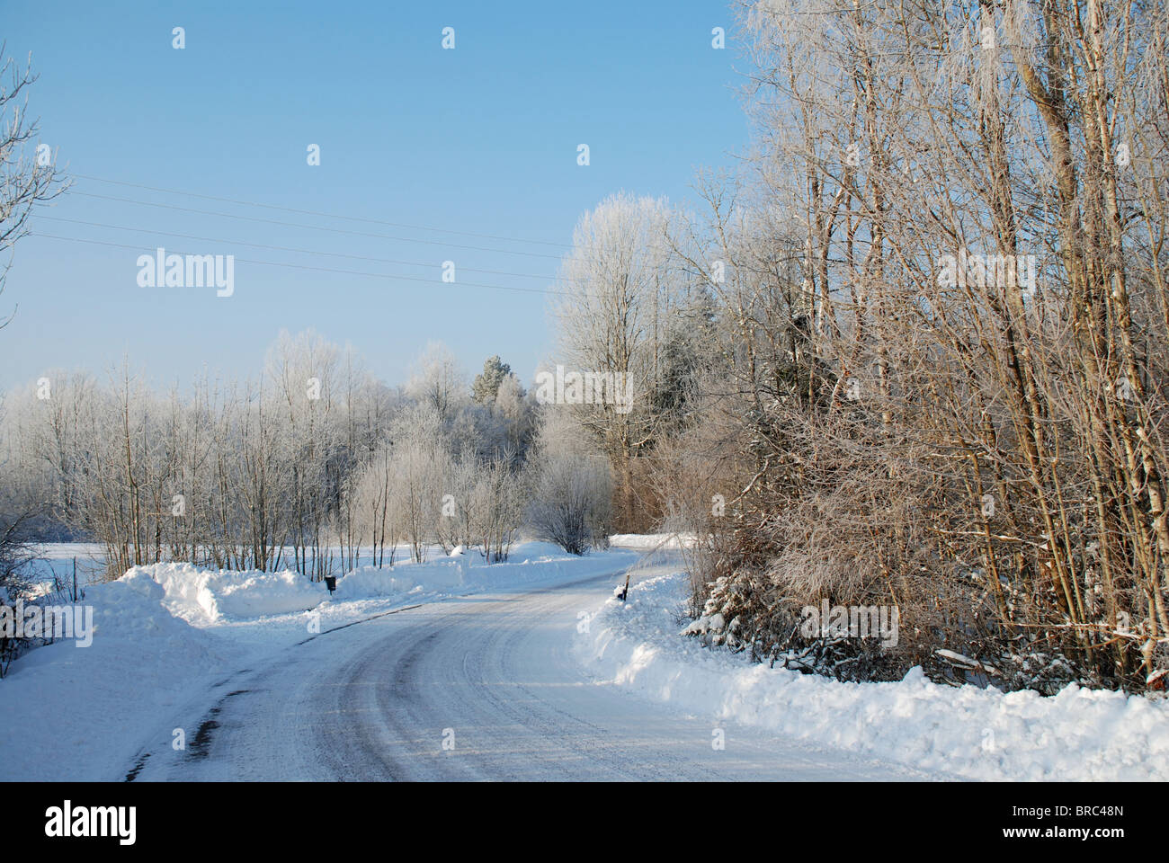 Piccola strada nel paesaggio invernale Foto Stock