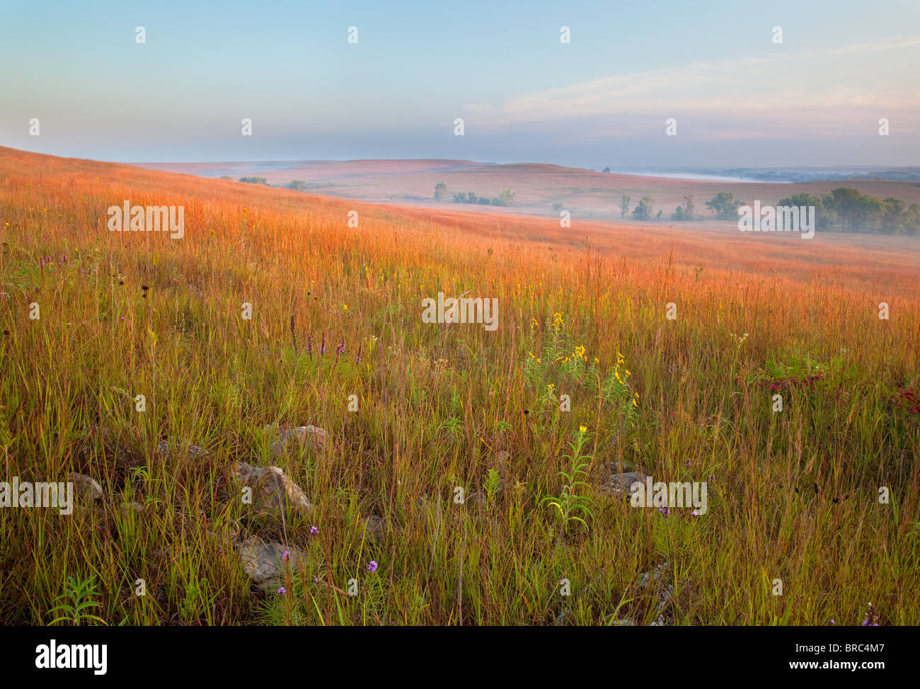 Tallgrass prairie in autunno, Tallgrass Prairie National Preserve, Kansas Foto Stock